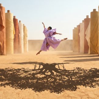 Where the Sky Becomes Linen No. 17 — The Loom Dance